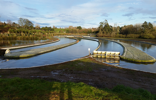 NIWA pond system